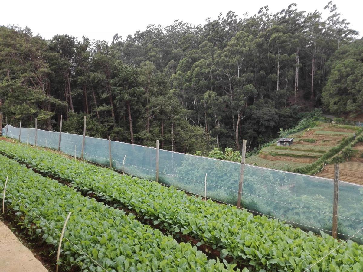 Keshiya Holiday Home Nuwara Eliya Exterior photo